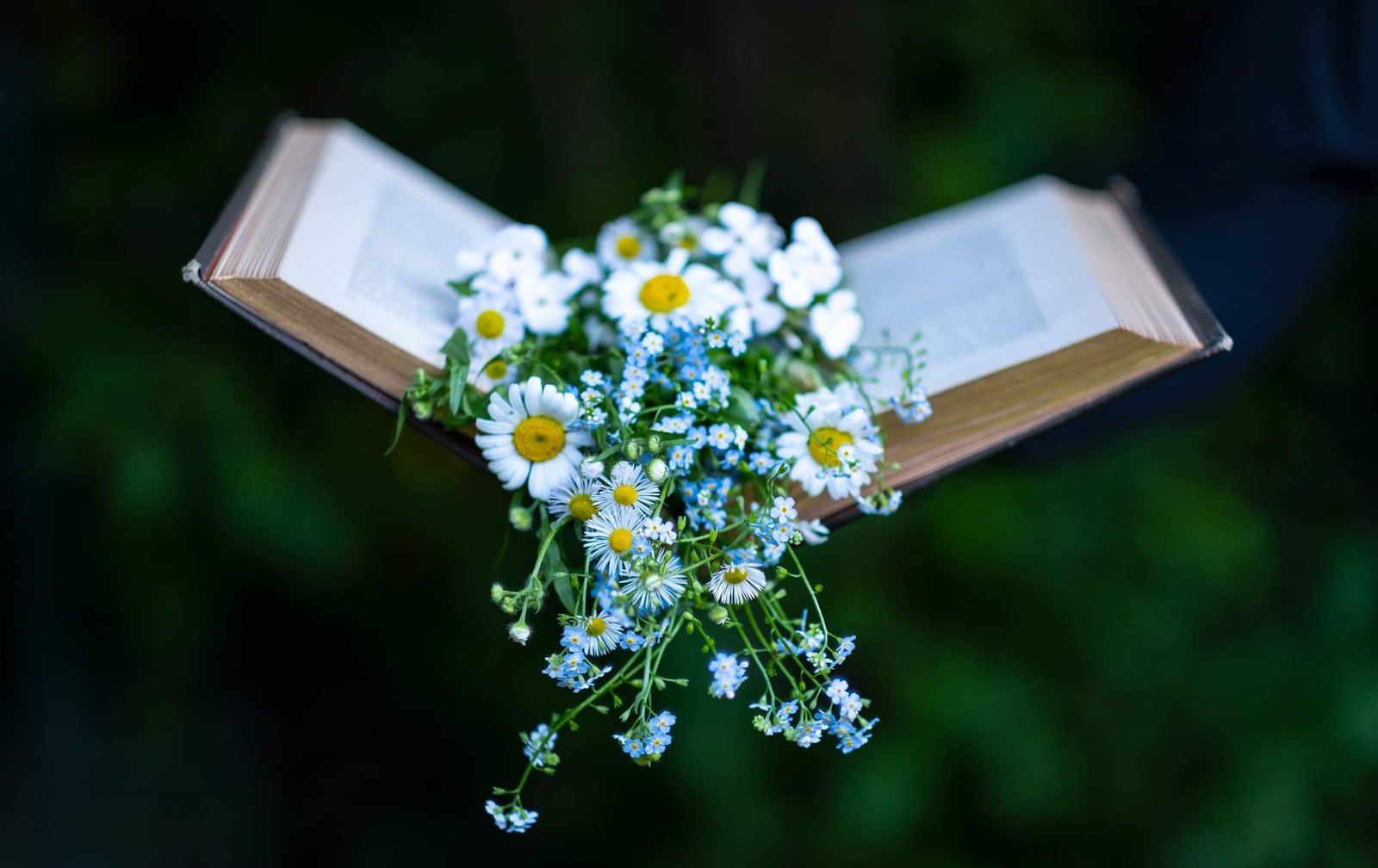 Book with wildflowers